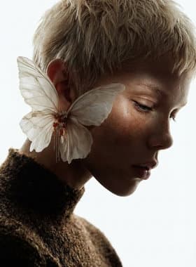 Reference accessories visual used for model display workflow